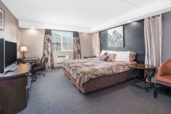 KNIGHTS INN AND SUITES GRAND F (Grand Forks)